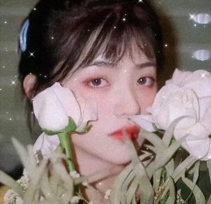 银城尤物